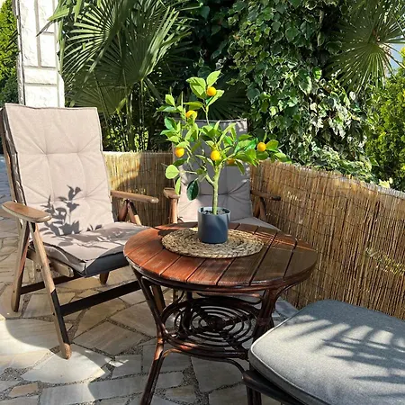 Angelina, 70m From The Beach, Free Parking Apartment Novigrad (Istria)